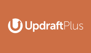 top-10-wordpress-plugins-bloggers-2024